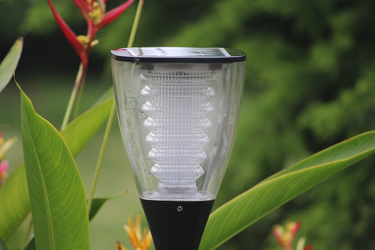 Solar Garden Light Warm White 1 Watt | Best Solar Garden Lights Kits In